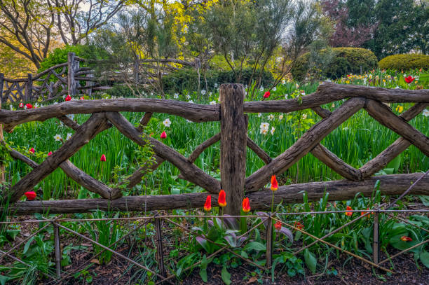 istock Shakespeare Garden in Central Park 1250664843