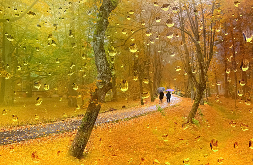 Autumnal weather in old public park, Europe