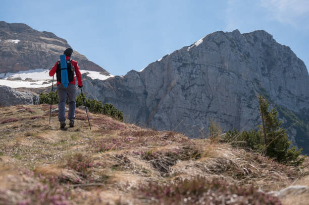 istock Man hiking enjoying the view 1250665894