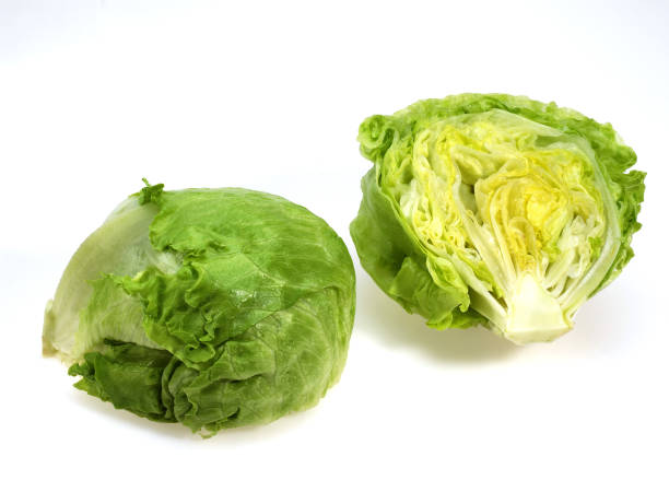istock Iceberg Salad, lactuca sativa, Leaves against White Background 1250666254