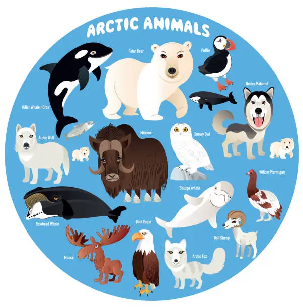 Vector illustration of Arctic Animals