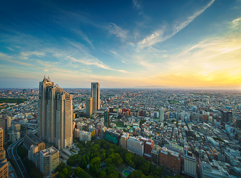 Aerial view of Tokyo, Japan. Photo taken with 42 megapixel professional camera.