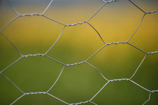 green soccer field behind wire fences