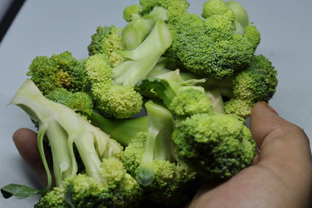 istock Fresh healthy broccoli isolated on white background 1250668870