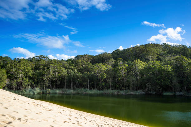 Fraser Island, Australia - January 26, 2018: Tourists enjoy the Australian Day relaxing and swimming at Eli Creek on Fraser Island.