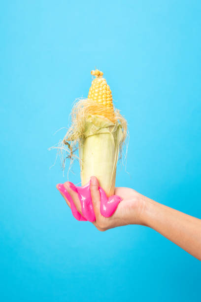 istock Hand Holding Sliced Corn cob on blue paper background. 1250669412