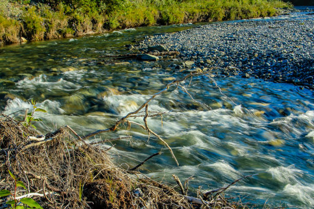 istock Waiprous Creek flows through the North Ghost, North Ghost Provincial Recreation Area 1250669499