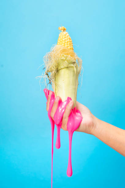 istock Hand Holding Sliced Corn cob on blue paper background. 1250670324