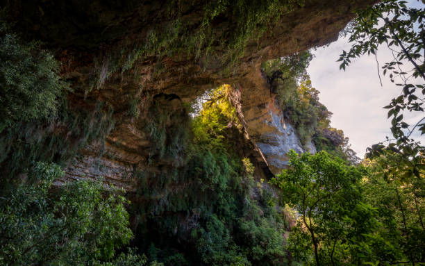 Oparara Arch in the Kahurangi National Park stock photo