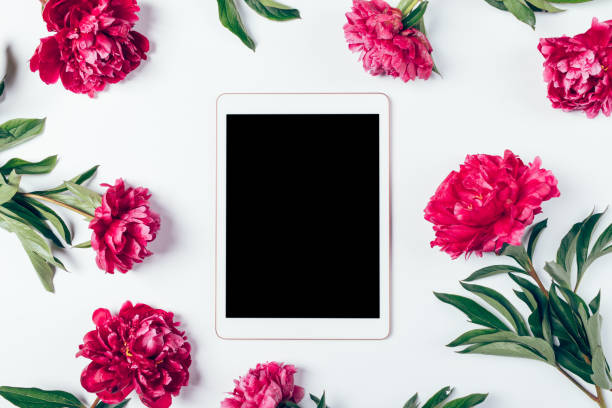 istock Digital tablet with blank screen among beautiful fresh pink peony flowers 1250675072