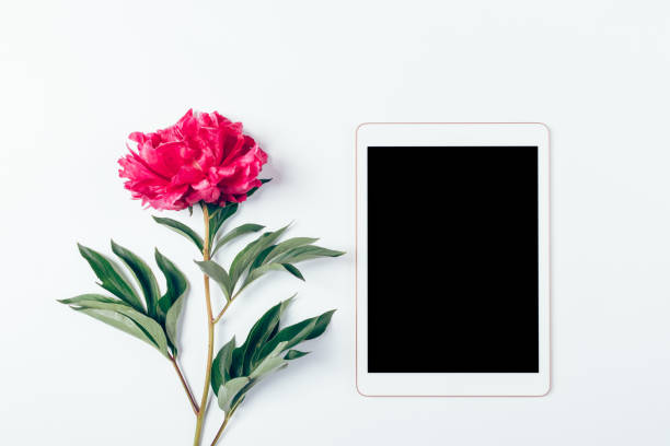 istock Flat lay electronic tablet with empty screen next to beautiful fresh pink peony flower 1250675073