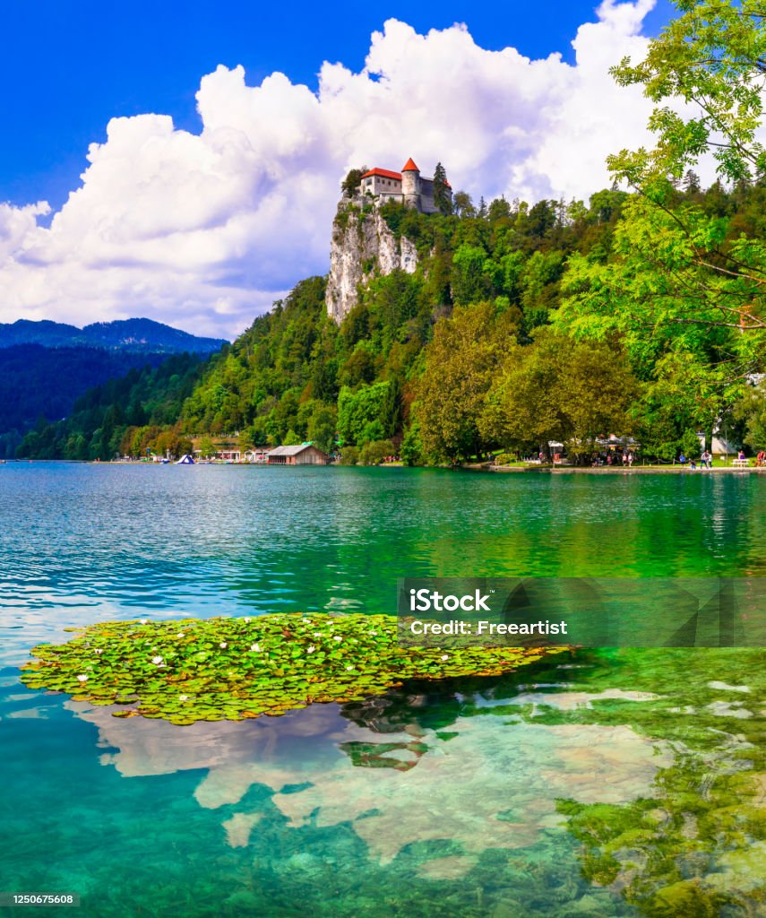 Hồ Bled Ở Slovenia Một Trong Những Hồ Đẹp Nhất Ở Châu Âu Hình ảnh ...