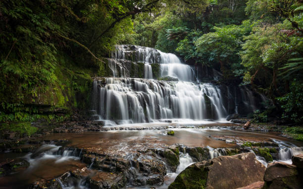 cascate purakaunui - the catlins foto e immagini stock