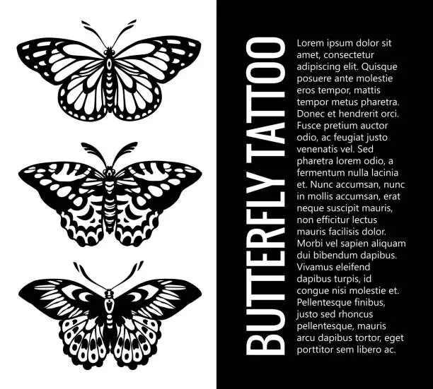 Vector illustration of Beautiful Winged Butterflies. Tattoo butterfly.