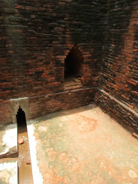 istock Ruins Of Nalanda Bihar India 1250678616