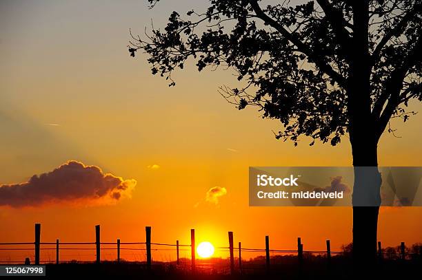 Tramonto - Fotografie stock e altre immagini di Affondare - Affondare, Alba - Crepuscolo, Ambientazione esterna