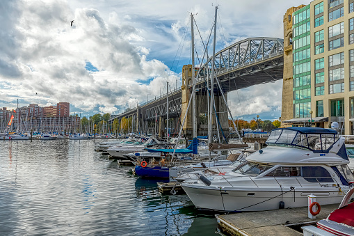 Vancouver, Canada - October 20, 2017: Appearance from Vancouver rainy day.Autumn colored maple leaf at Vancouver with yachts and Burrard Bridge at Marina with flying birds.