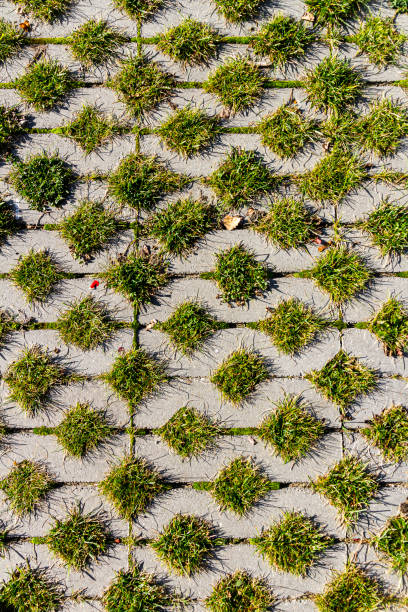 3d,abstract,background,design,garden,grass,green,ground,isolated,land,lawn,nature,path,pathway,piece,plant,slice,square,summer,top,view