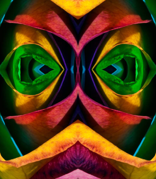 istock Face in the Rose Flower 1250684989