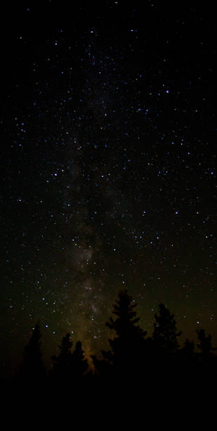 istock Dark sky with stars and trees in vertical format 1250685514
