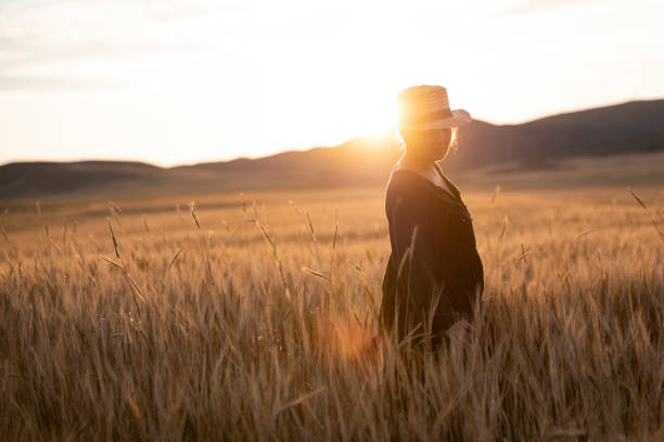 Free Stock Photo of Silo Standing in Field at Sunset | Download Free ...