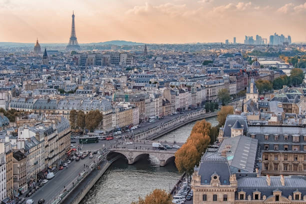 istock Paris city viewed from high up, France 1250688607