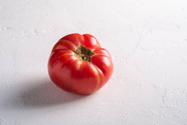 un vegetal de tomate de reliquia rosa, tomates maduros rojos frescos, comida vegana, fondo de hormigón de piedra blanca, macro de vista angular - tomato beefsteak tomato heirloom tomato pink fotografías e imágenes de stock