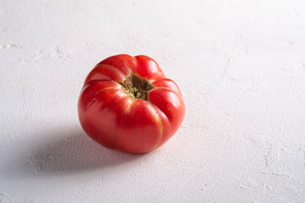 핑크 가보 토마토 야채, 신선한 붉은 잘 익은 토마토, 비건 음식, 흰색 돌 콘크리트 배경, 각도 보기 매크로 - tomato beefsteak tomato heirloom tomato pink 뉴스 사진 이미지