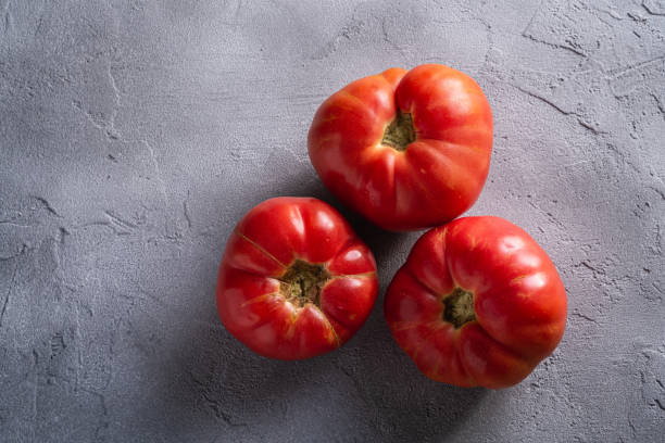 핑크 가보 토마토 야채 3개, 신선한 붉은 토마토, 비건 음식, 돌 콘크리트 배경, 탑 뷰 - tomato beefsteak tomato heirloom tomato pink 뉴스 사진 이미지