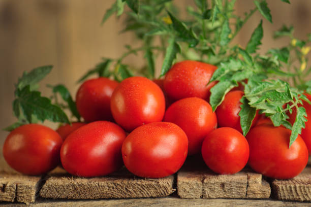 istock Fresh ripe delicious Roma tomatoes on wooden background 1250692425