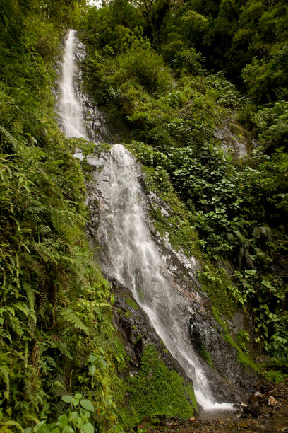 istock Tropical Forest and Waterfalls in Manu National Park, Peru 1250693971