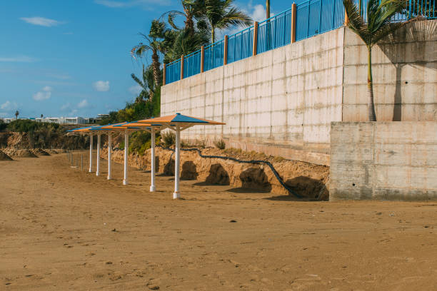 istock outdoor umbrellas on sandy beach near palm trees 1250694183