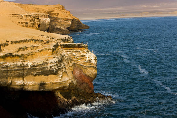 istock Landscape in Paracas National Park, Peru 1250694442