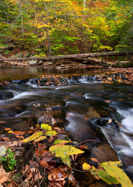 istock Silky Smooth Waterfall from Ricketts Glen State Park in the Midst of Fall Foliage 1250694476