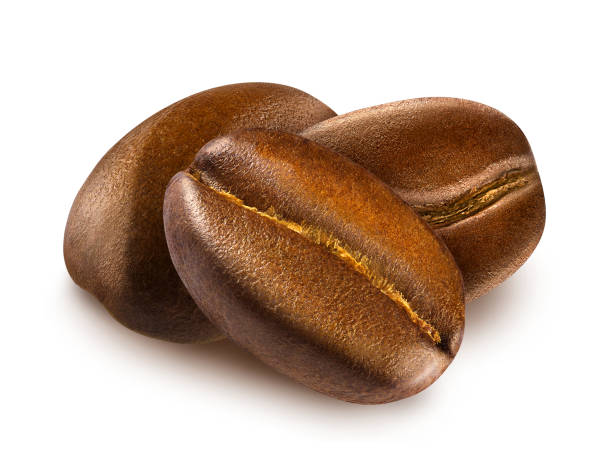 반짝이는 신선한 구운 3개의 커피 콩힙. - coffee bean coffee crop cafe isolated 뉴스 사진 이미지