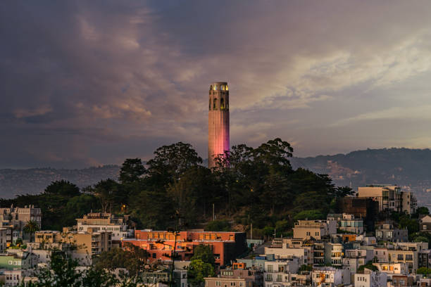 San Francisco's urban landscape unfolds through a natural frame of vibrant green foliage in CA. Lush trees dominate the foreground, contrasting with densely packed houses and buildings blanketing distant hills. Characteristic steep streets and closely-built residences showcase the city's unique topography. Early morning light casts a soft glow, highlighting hilly terrain and architectural charm.