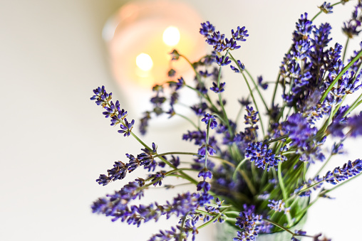 Scented candle and lavender flowers on white coffee table in home interior