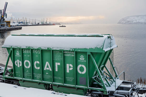 Self-unloading bunker freight cars in the territory of the Murmansk Commercial Sea Port awaiting unloading stock photo