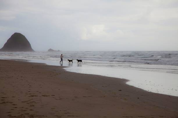 istock Oregon Coast Stormy Afternoon 1250703482