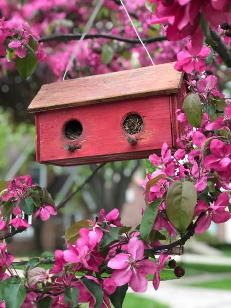 istock Birdhouse hanging on the boulevard. 1250703658