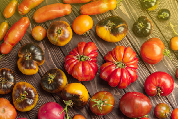 istock Fresh big and small tomatoes on dark wooden background. 1250706171