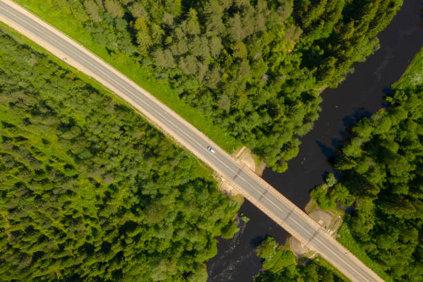 istock Aerial high angle view of highway and bridge over river in deep forest 1250707725