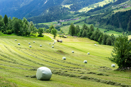 View of an alpine mountain landscape with farm fields and hay bales in the Swiss Alps above Andeer village