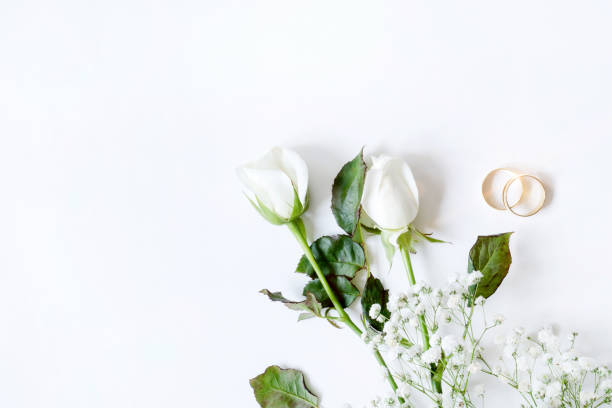 pink rose and wedding rings over white background