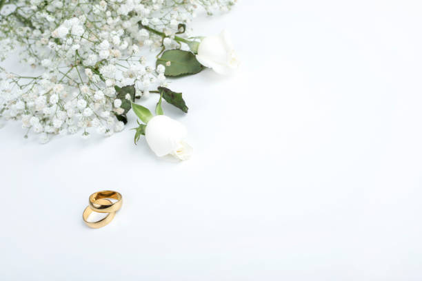 istock pink rose and wedding rings over white background 1250709535