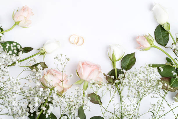istock pink rose and wedding rings over white background 1250709537