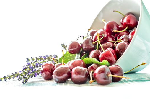 Fresh Organic Cherries in Bowl on White Background