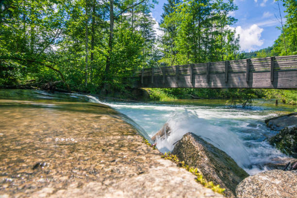 istock The Water Cluster in Lunz, Mostviertel, Lower Austria 1250712858