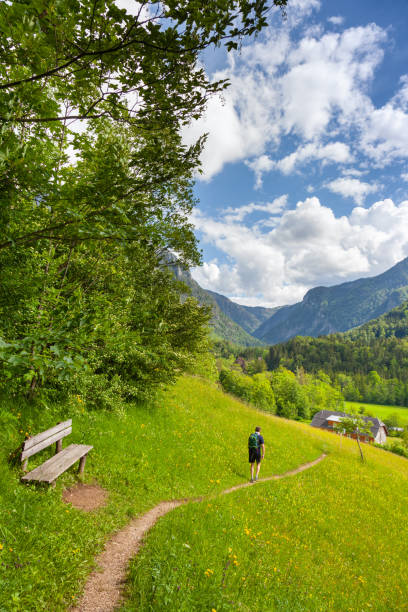 istock A man hiking in the Alps in Lower Austria 1250713303