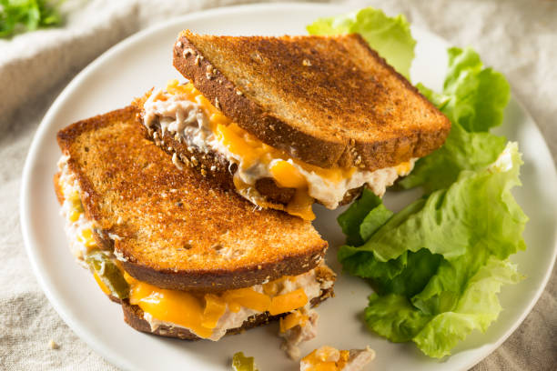 istock Homemade Toasted Tuna Melt Sandwich 1250719144